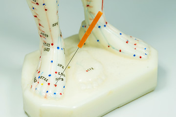 Image showing acupuncture demonstration on feet model 