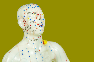Image showing acupuncture model 