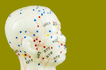 Image showing acupuncture model 