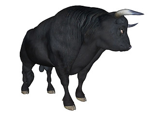Image showing Black Bull
