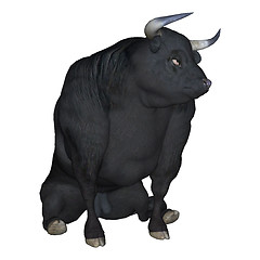 Image showing Black Bull