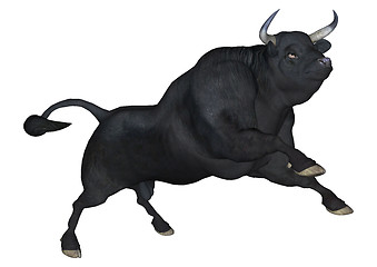 Image showing Black Bull