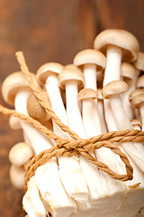 Image showing fresh wild mushrooms