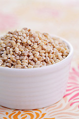 Image showing barley