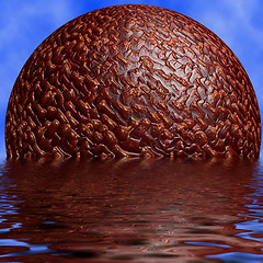 Image showing Sinking Planet