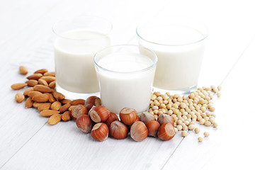 Image showing different vegan milk