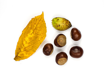 Image showing Sweet chestnuts still life decoration