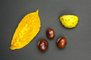 Image showing Sweet chestnuts still life at dark