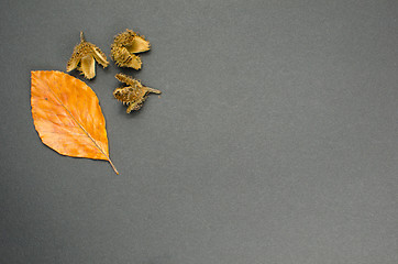 Image showing Fall decoration leaf and cones