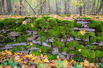 Image showing Mossy stonewall detail