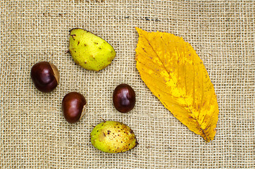 Image showing Sweet chestnuts still life