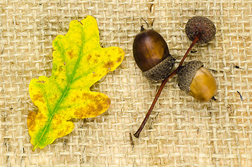 Image showing Natural autumn objects at burlap