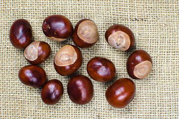 Image showing Sweet chestnuts collection