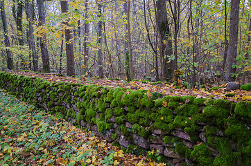 Image showing Old mossy stonewall