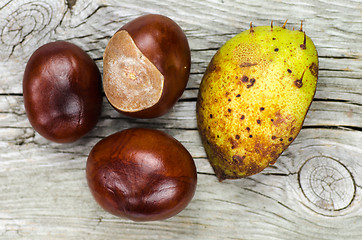 Image showing Sweet chestnuts at wooden background