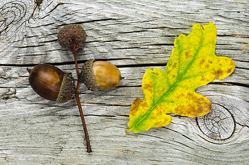 Image showing Autumn symbols at weathered wooden background