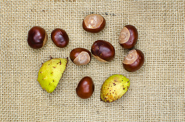 Image showing Group of sweet chestnuts