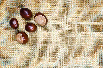 Image showing Sweet chestnuts at burlap surface