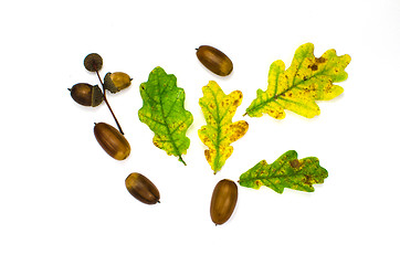 Image showing Fall symbols decoration still life