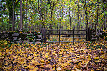 Image showing Old wooden gate at autumn