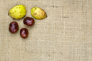 Image showing Sweet chestnuts decor