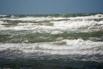 Image showing nice waves