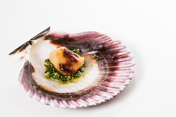 Image showing Studio closeup of seared scallops