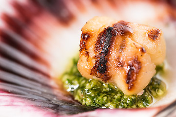 Image showing Studio closeup of seared scallops