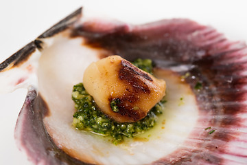 Image showing Studio closeup of seared scallops