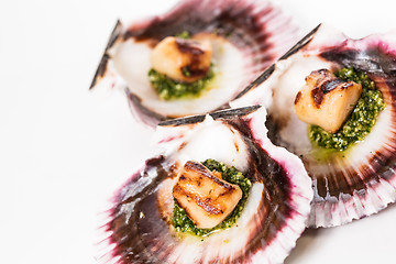 Image showing Studio closeup of seared scallops