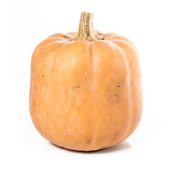 Image showing pumpkin over white background