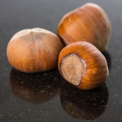 Image showing Forest nuts hazelnuts