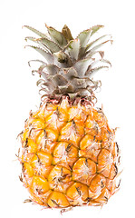 Image showing Pineapple on white background