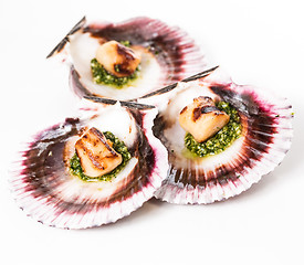 Image showing Studio closeup of seared scallops