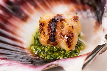 Image showing Studio closeup of seared scallops