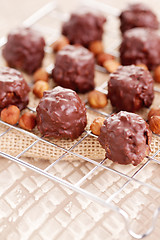 Image showing hazelnut pralines