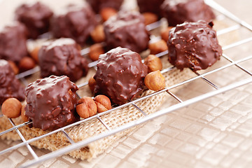 Image showing hazelnut pralines