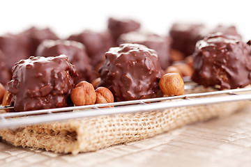 Image showing hazelnut pralines