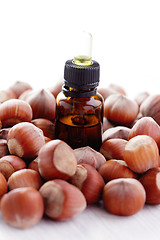 Image showing hazelnut essential oil