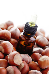 Image showing hazelnut essential oil
