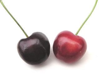 Image showing morello cherries