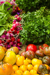 Image showing Organic Vegetables