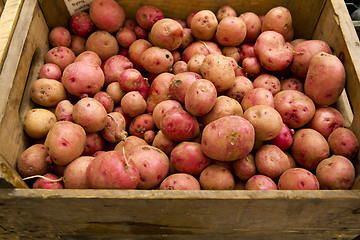 Image showing Organic Potatoes