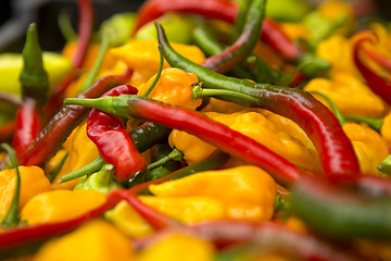 Image showing Organic Peppers