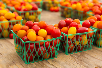 Image showing Organic Tomatoes