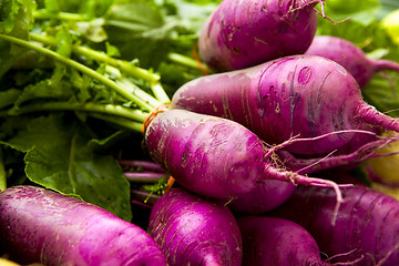 Image showing Organic Turnips