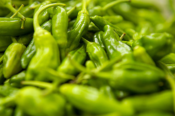 Image showing Organic Peppers