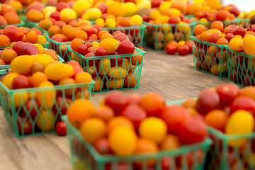 Image showing Organic Tomatoes