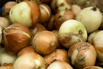 Image showing Organic Onions