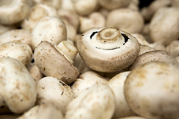 Image showing Organic Mushrooms